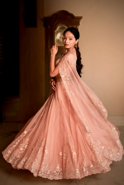 Blush Whisper Dupatta